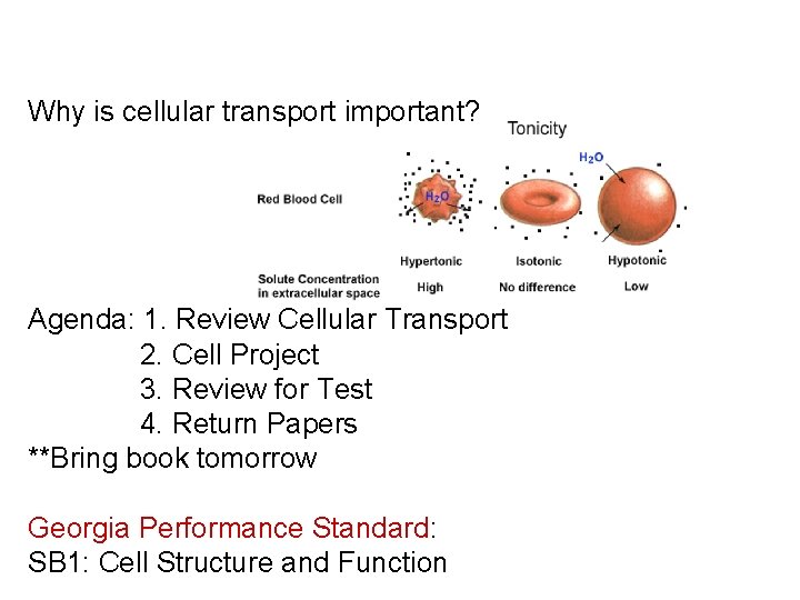 Why is cellular transport important? Agenda: 1. Review Cellular Transport 2. Cell Project 3.