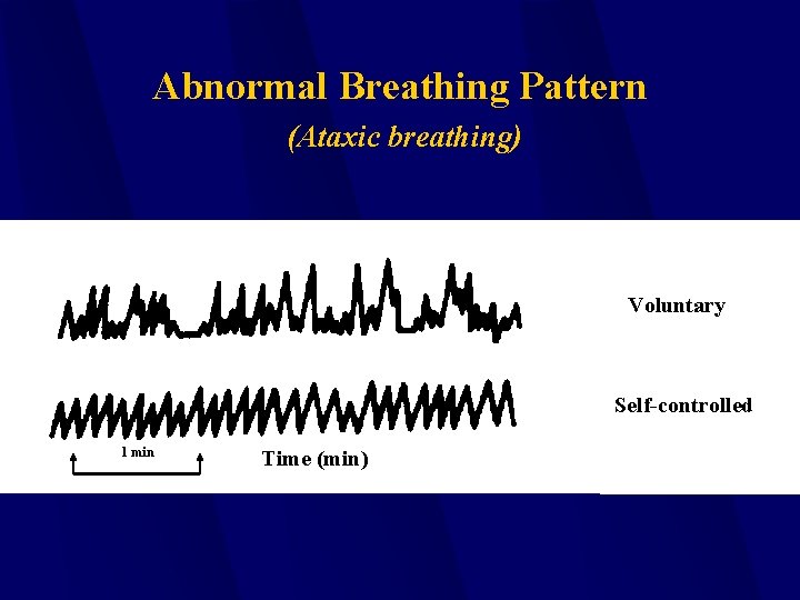 Abnormal Breathing Pattern (Ataxic breathing) Voluntary Self-controlled 1 min Time (min) 