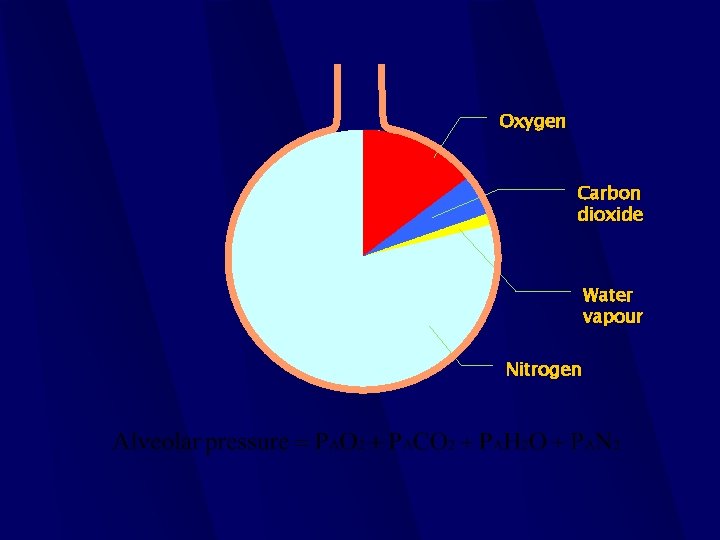 Oxygen Carbon dioxide Water vapour Nitrogen 