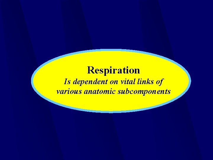 Respiration Is dependent on vital links of various anatomic subcomponents 