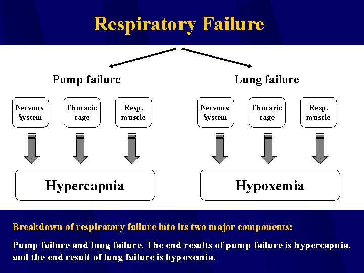 Respiratory Failure Pump failure Nervous System Thoracic cage Lung failure Resp. muscle Hypercapnia Nervous