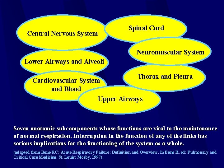 Central Nervous System Spinal Cord Neuromuscular System Lower Airways and Alveoli Thorax and Pleura