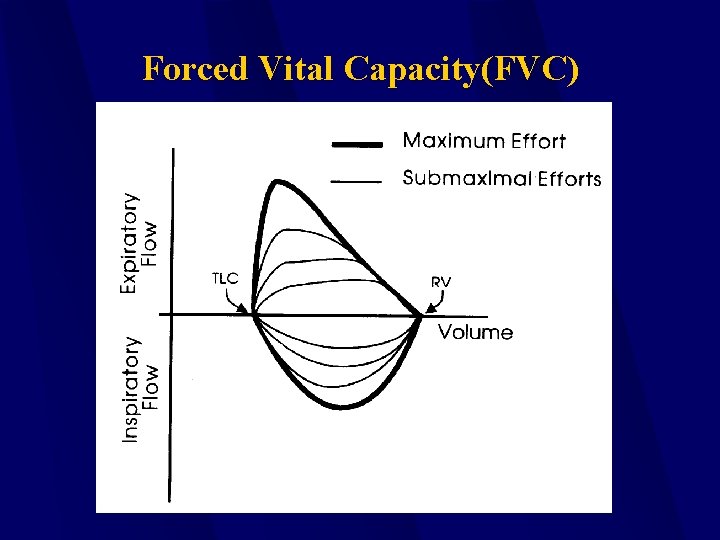 Forced Vital Capacity(FVC) 
