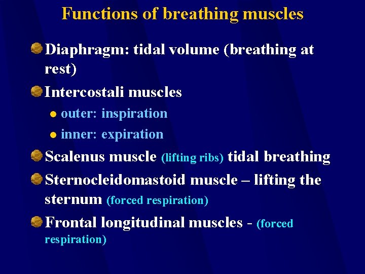 Functions of breathing muscles Diaphragm: tidal volume (breathing at rest) Intercostali muscles outer: inspiration