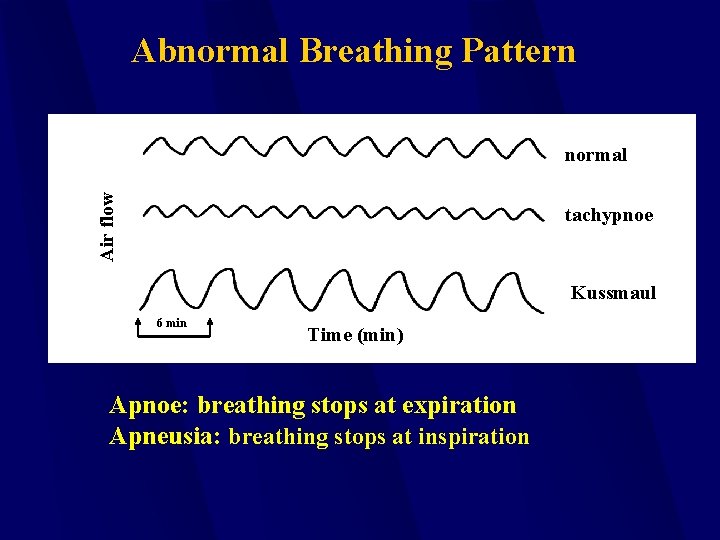 Abnormal Breathing Pattern Air flow normal tachypnoe Kussmaul 6 min Time (min) Apnoe: breathing
