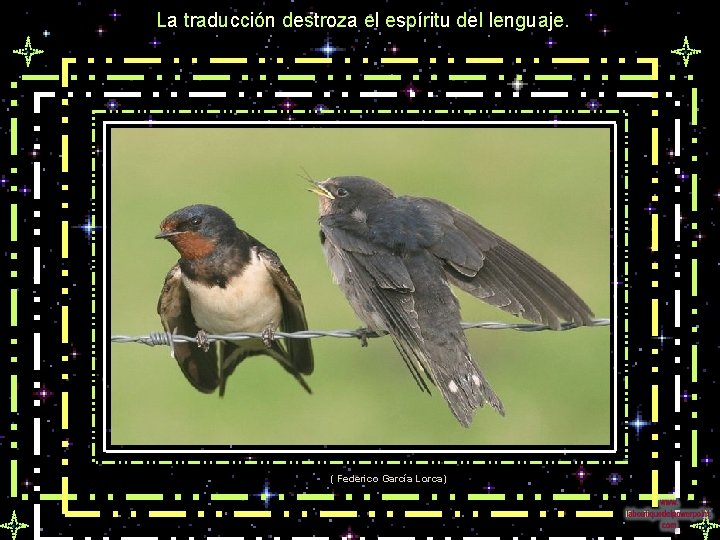 La traducción destroza el espíritu del lenguaje. ( Federico García Lorca) 