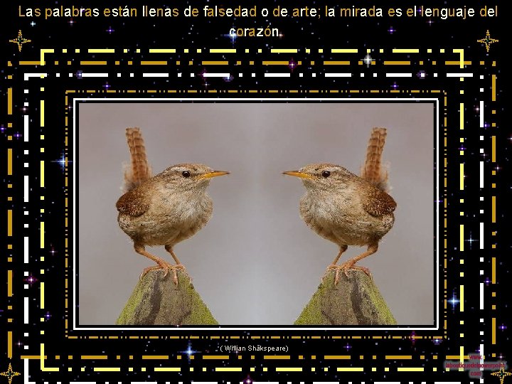 Las palabras están llenas de falsedad o de arte; la mirada es el lenguaje