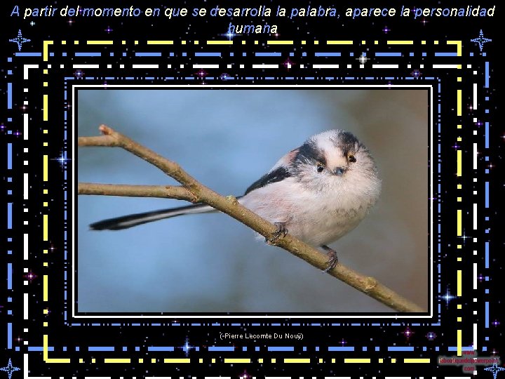 A partir del momento en que se desarrolla la palabra, aparece la personalidad humana