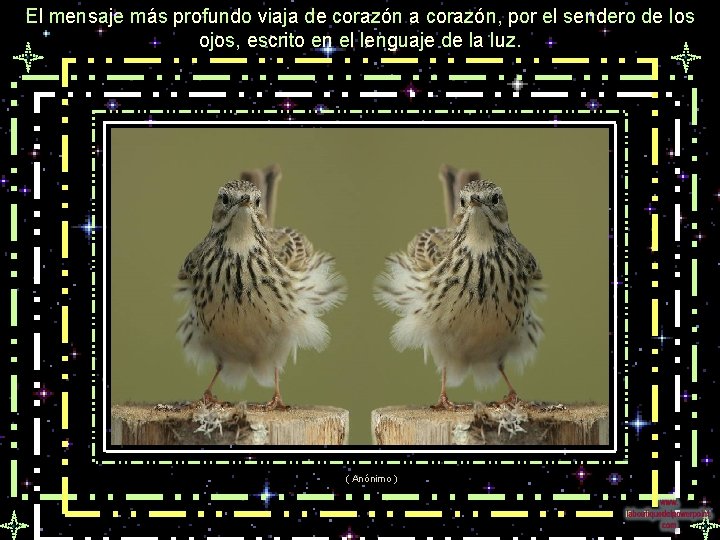El mensaje más profundo viaja de corazón a corazón, por el sendero de los