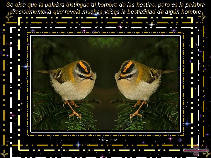 Se dice que la palabra distingue al hombre de las bestias, pero es la