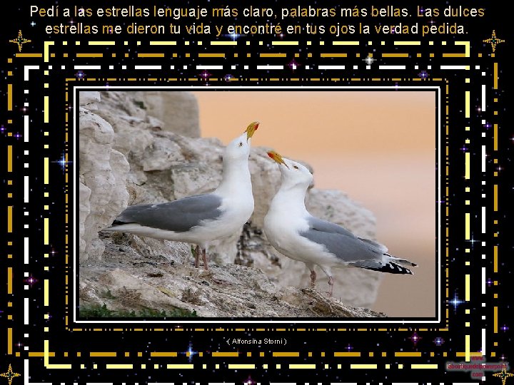 Pedí a las estrellas lenguaje más claro, palabras más bellas. Las dulces estrellas me