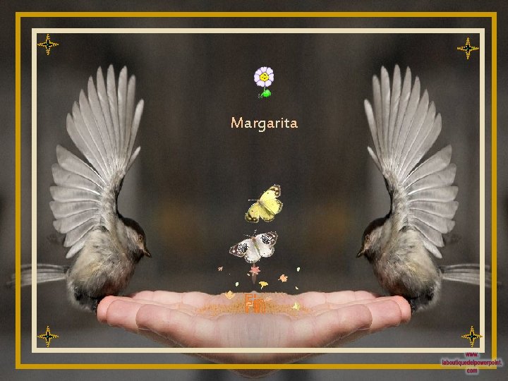 Margarita 