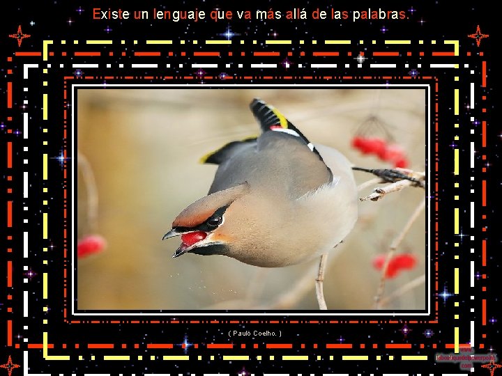 Existe un lenguaje que va más allá de las palabras. ( Paulo Coelho. )