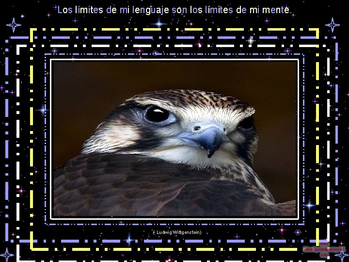 Los límites de mi lenguaje son los límites de mi mente. ( Ludwig Wittgenstein)
