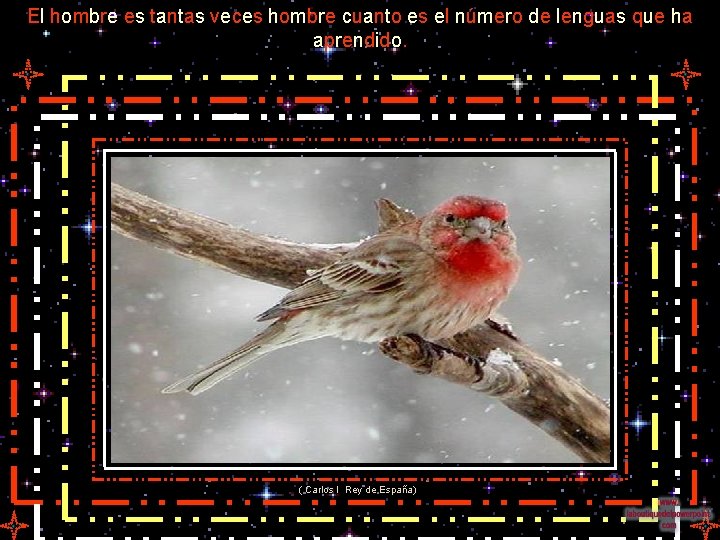 El hombre es tantas veces hombre cuanto es el número de lenguas que ha