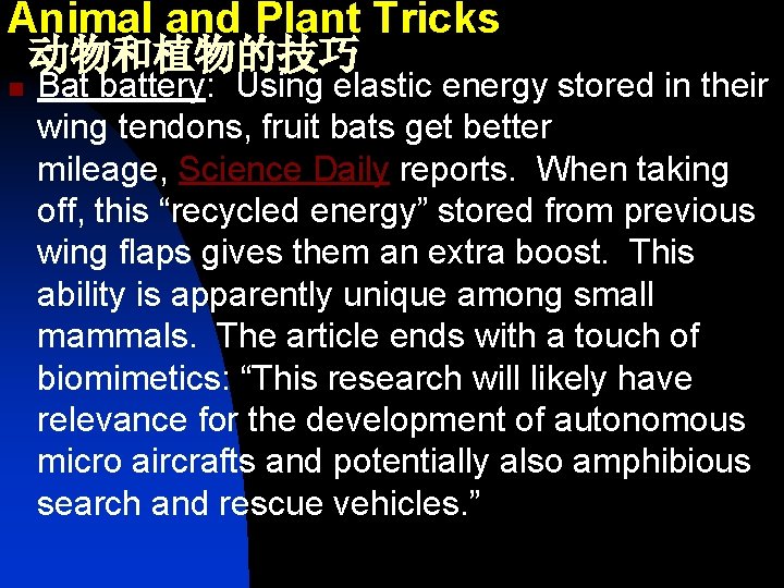 Animal and Plant Tricks 动物和植物的技巧 n Bat battery: Using elastic energy stored in their