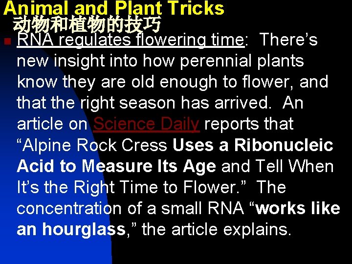 Animal and Plant Tricks 动物和植物的技巧 n RNA regulates flowering time: There’s new insight into