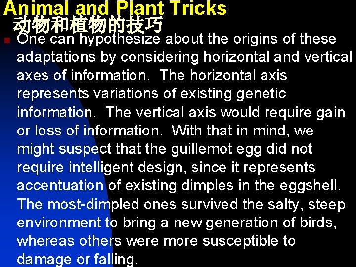 Animal and Plant Tricks 动物和植物的技巧 n One can hypothesize about the origins of these