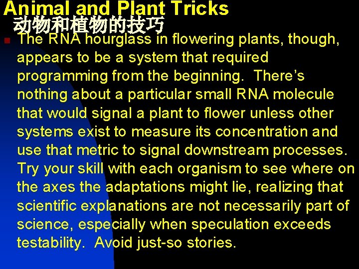 Animal and Plant Tricks 动物和植物的技巧 n The RNA hourglass in flowering plants, though, appears