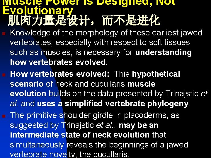 Muscle Power Is Designed, Not Evolutionary 肌肉力量是设计，而不是进化 n n n Knowledge of the morphology