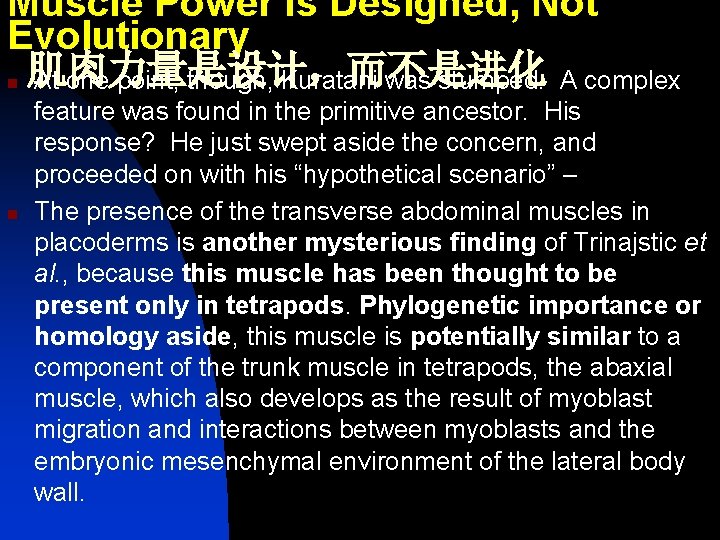 Muscle Power Is Designed, Not Evolutionary n 肌肉力量是设计，而不是进化 At one point, though, Kuratani was