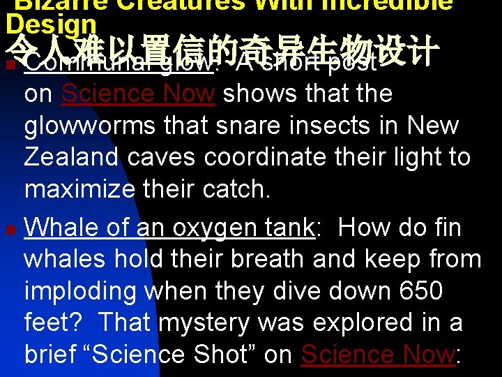  Bizarre Creatures With Incredible Design 令人难以置信的奇异生物设计 n Communal glow: A short post on