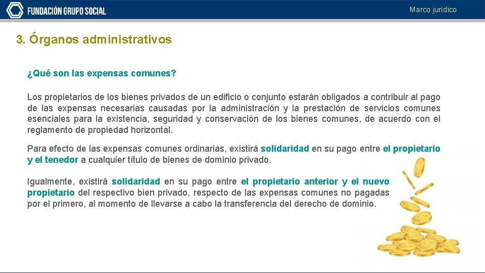 Marco jurídico 3. Órganos administrativos ¿Qué son las expensas comunes? Los propietarios de los