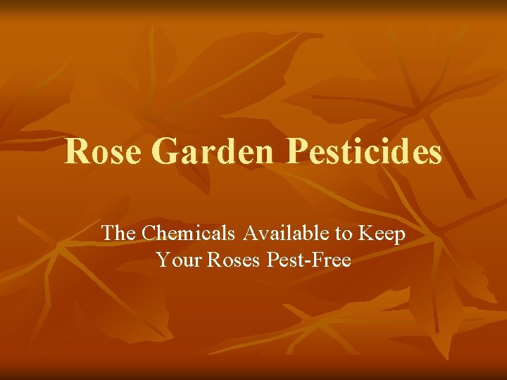 Rose Garden Pesticides The Chemicals Available to Keep Your Roses Pest-Free 