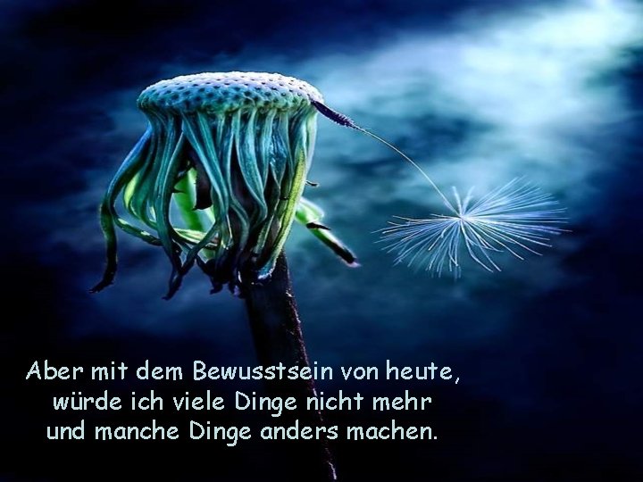 Aber mit dem Bewusstsein von heute, würde ich viele Dinge nicht mehr und manche