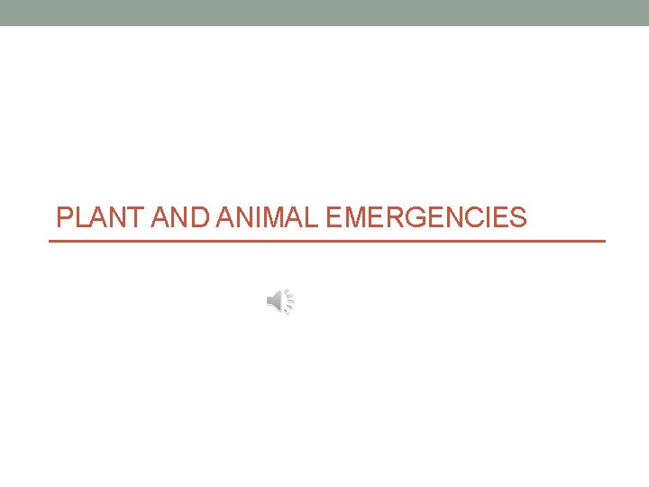 PLANT AND ANIMAL EMERGENCIES PLANT AND ANIMAL EMERGENCIES
