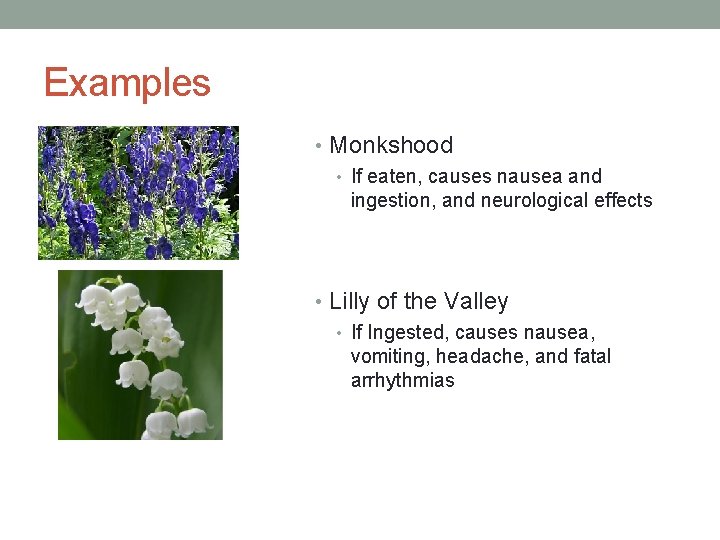 Examples • Monkshood • If eaten, causes nausea and ingestion, and neurological effects • Examples • Monkshood • If eaten, causes nausea and ingestion, and neurological effects •