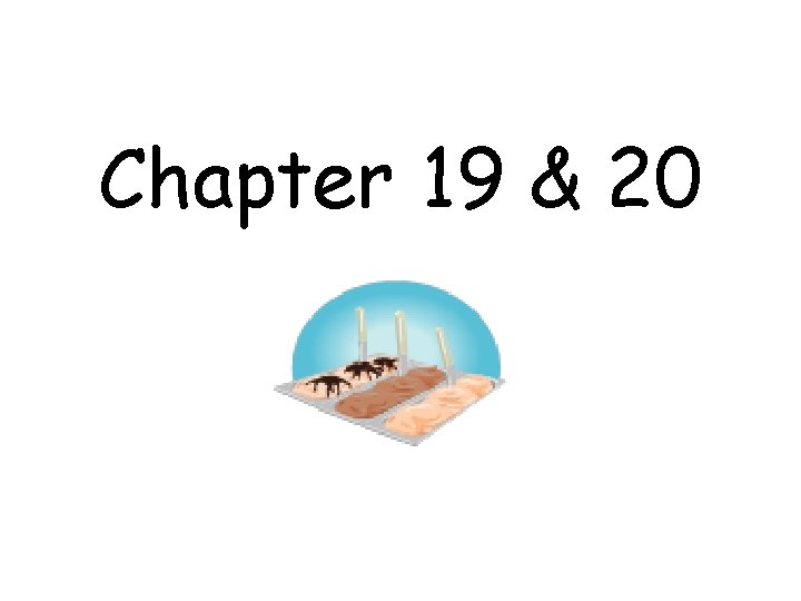 Chapter 19 & 20 