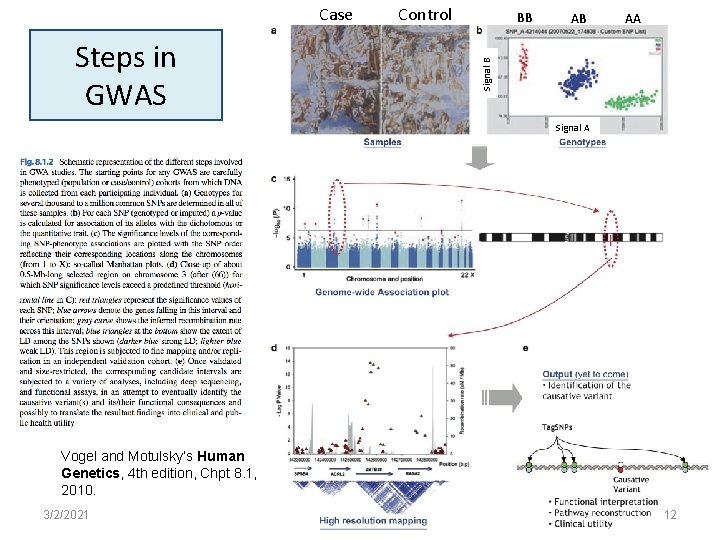 Steps in GWAS Control BB AB AA Signal B Case Signal A Vogel and