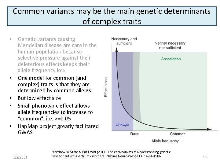 Common variants may be the main genetic determinants of complex traits • • •