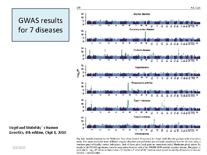 GWAS results for 7 diseases Vogel and Motulsky’s Human Genetics, 4 th edition, Chpt