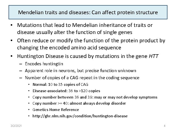 Mendelian traits and diseases: Can affect protein structure • Mutations that lead to Mendelian