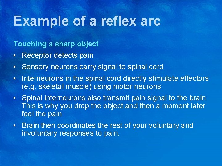 Example of a reflex arc Touching a sharp object • Receptor detects pain •