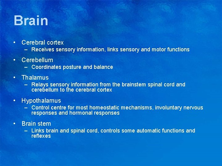 Brain • Cerebral cortex – Receives sensory information, links sensory and motor functions •