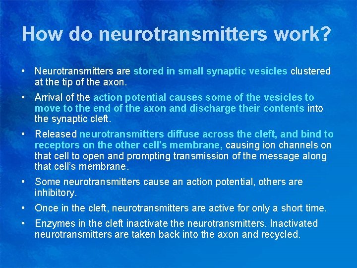 How do neurotransmitters work? • Neurotransmitters are stored in small synaptic vesicles clustered at