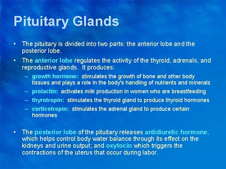 Pituitary Glands • The pituitary is divided into two parts: the anterior lobe and