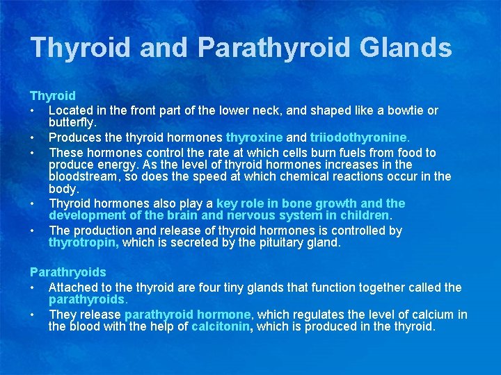 Thyroid and Parathyroid Glands Thyroid • Located in the front part of the lower