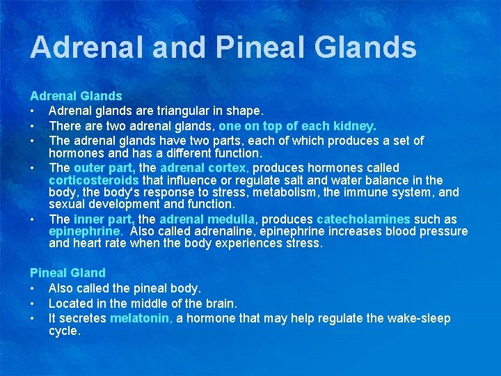 Adrenal and Pineal Glands Adrenal Glands • Adrenal glands are triangular in shape. •