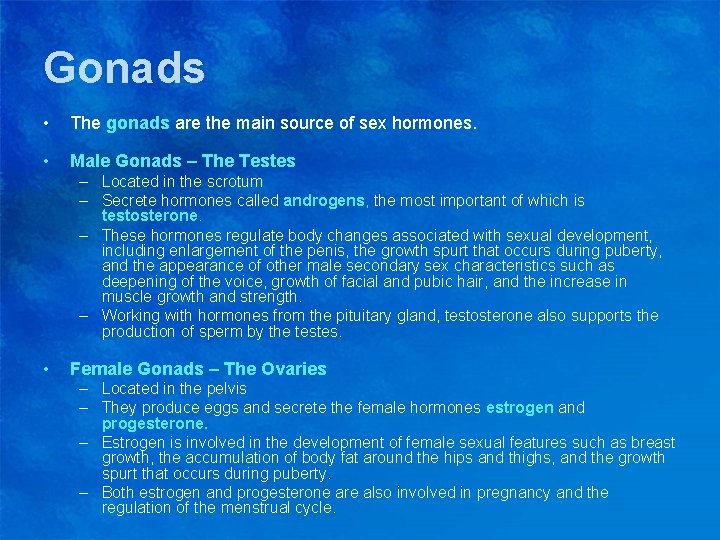 Gonads • The gonads are the main source of sex hormones. • Male Gonads