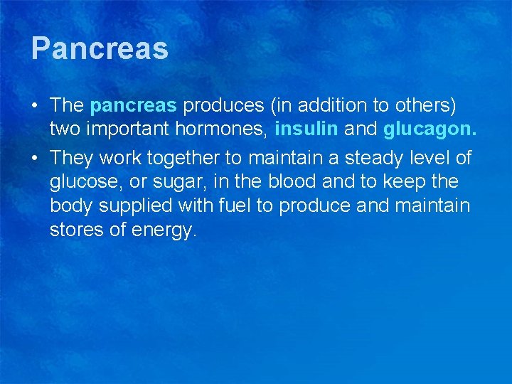 Pancreas • The pancreas produces (in addition to others) two important hormones, insulin and