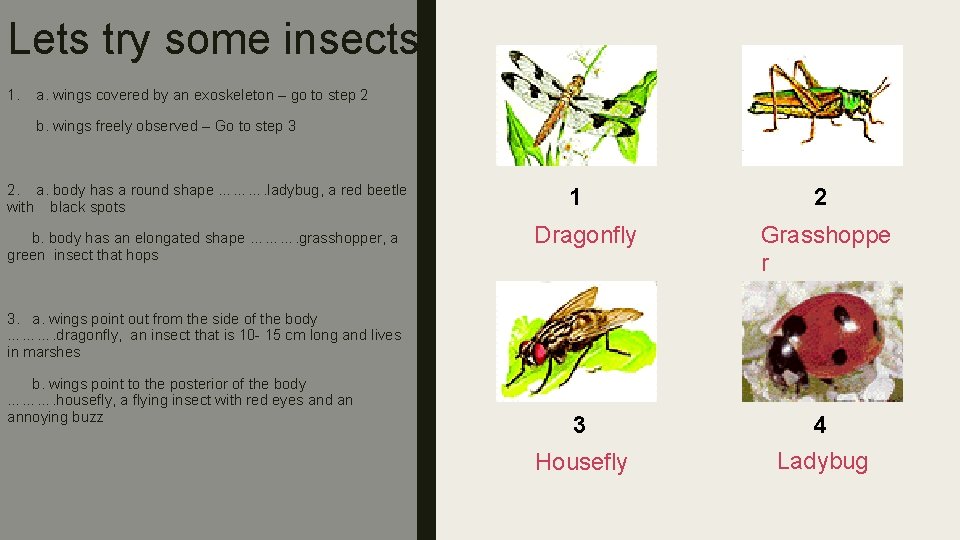 Lets try some insects! 1. a. wings covered by an exoskeleton – go to