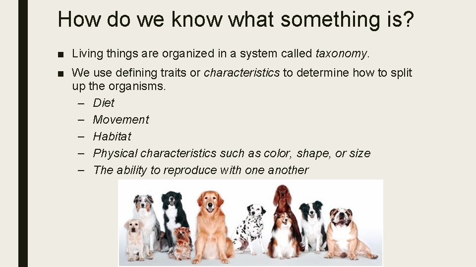 How do we know what something is? ■ Living things are organized in a