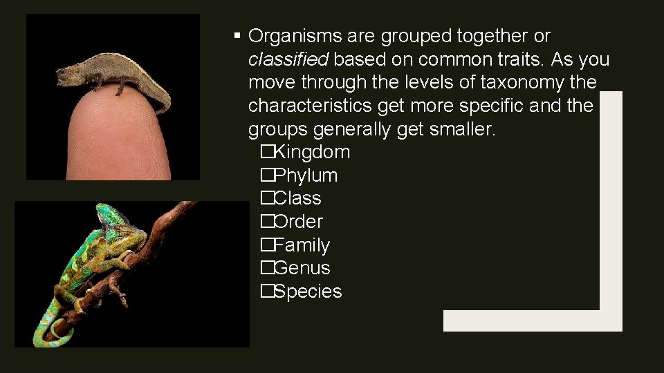 § Organisms are grouped together or classified based on common traits. As you move