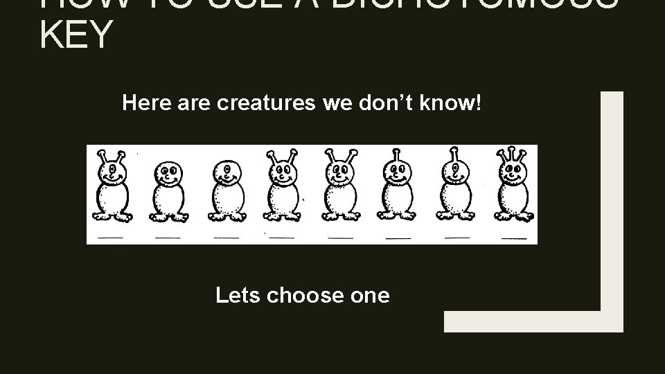 HOW TO USE A DICHOTOMOUS KEY Here are creatures we don’t know! Lets choose