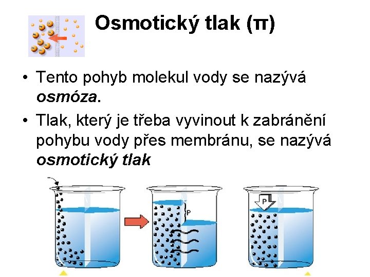 Osmotický tlak (π) • Tento pohyb molekul vody se nazývá osmóza. • Tlak, který