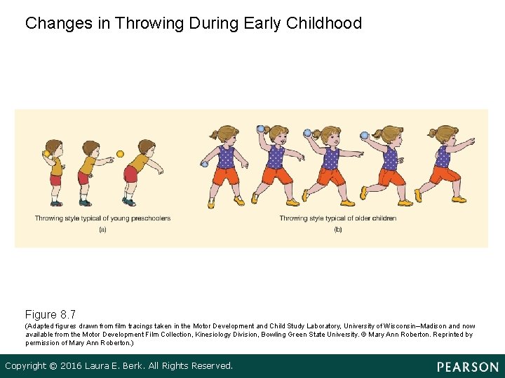 Changes in Throwing During Early Childhood Figure 8. 7 (Adapted figures drawn from film